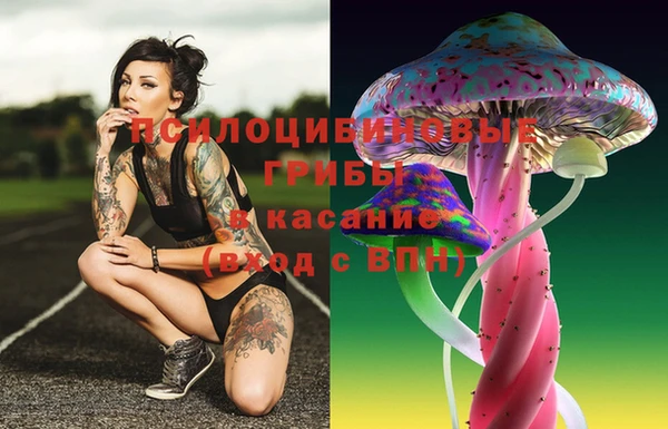 прущая мука Алзамай